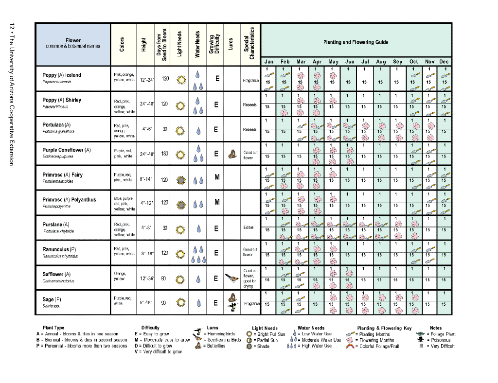 Flower planting calendar12